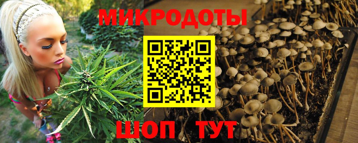 Галлюциногенные грибы ЛСД  Вход с VPN  Печора 